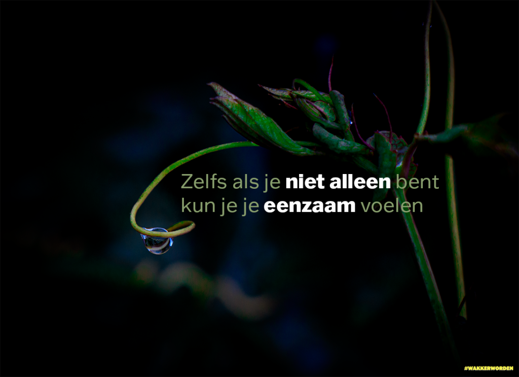 crossmediale storytelling foto 4