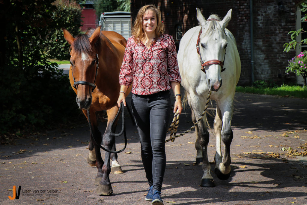 Dierenfotografie Judith van der Velden Paarden lopen