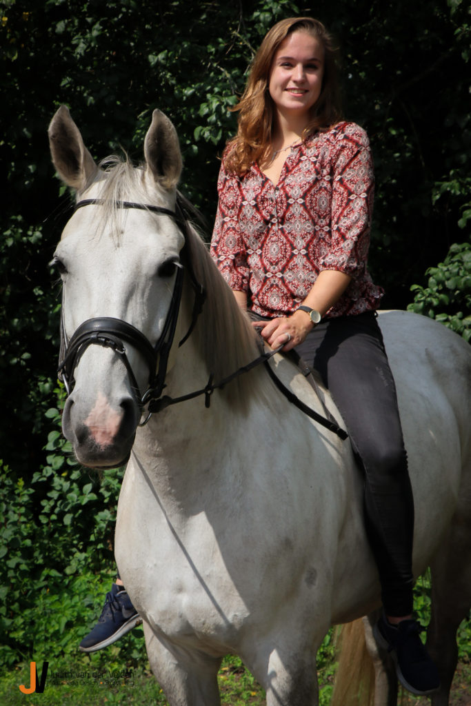 Dierenfotografie Judith van der Velden Paard en ruiter